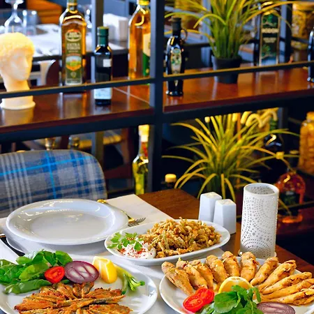 酒店 埃斯基谢希尔梅洛酒店 5*