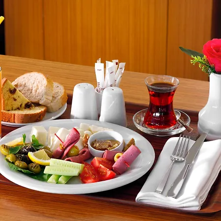 埃斯基谢希尔梅洛酒店 酒店