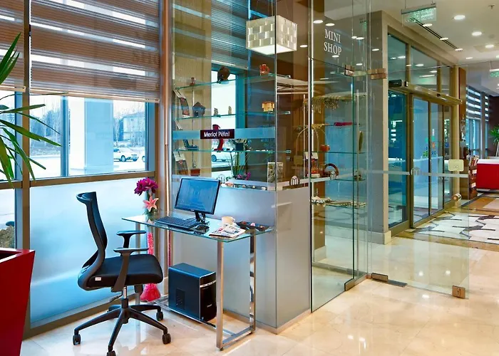 The Merlot ホテル エスキシェヒル